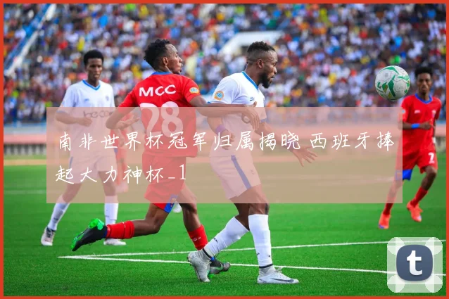 南非世界杯冠军归属揭晓 西班牙捧起大力神杯_1